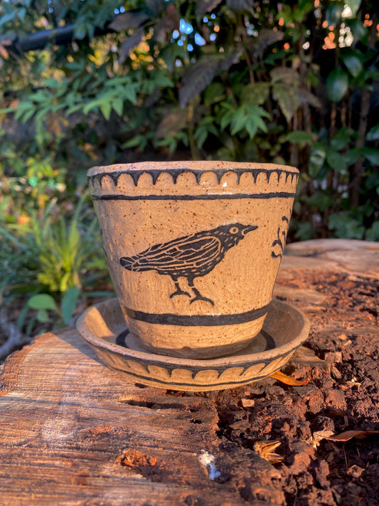 Make a Planter! April 25