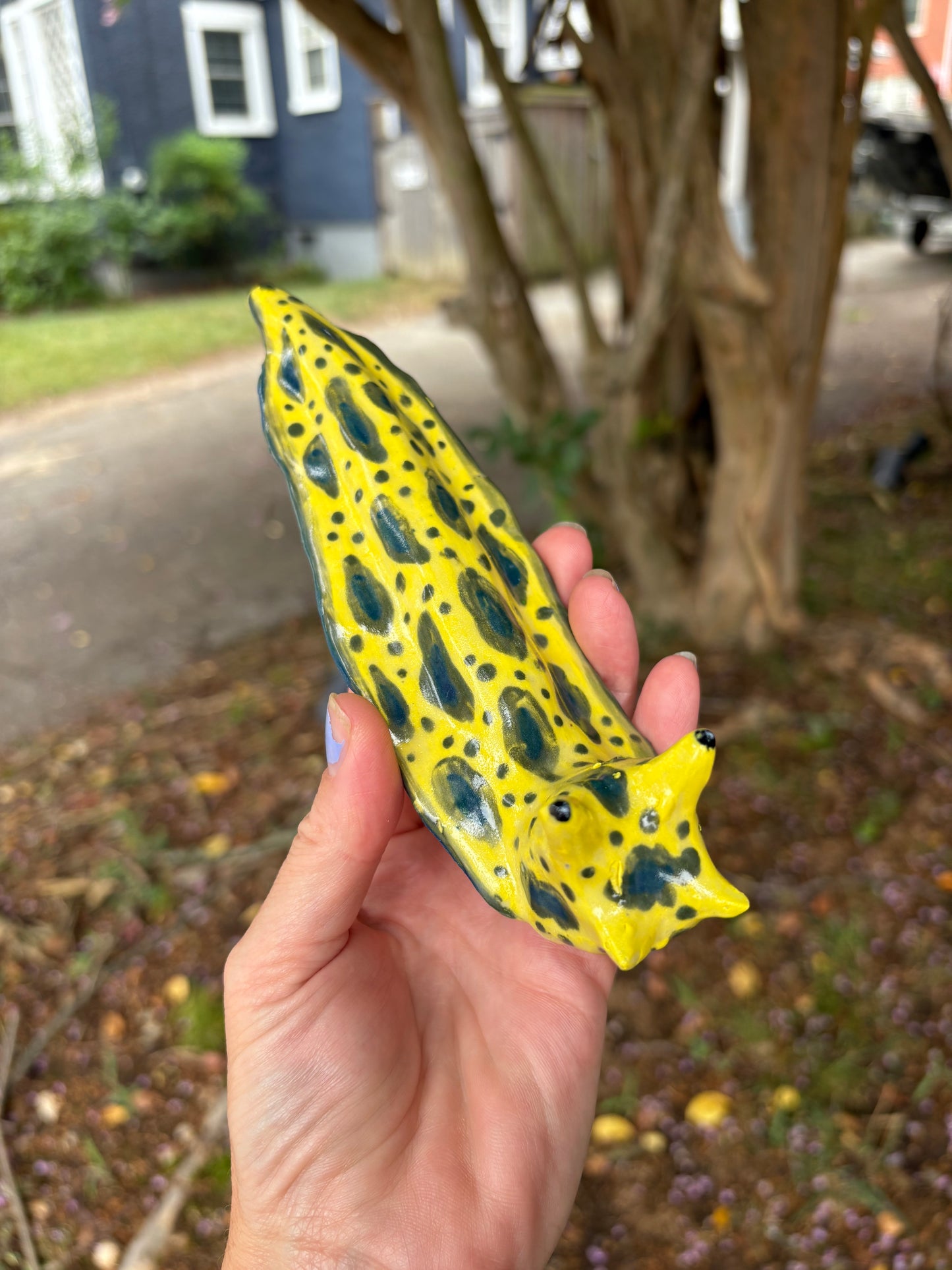 SPOOKY Slugs and Bugs! October 8
